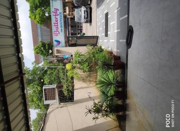 Butterfly The Boutique